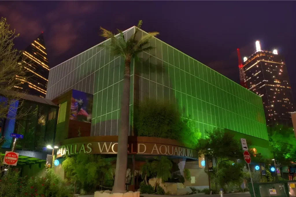 Popular Dallas Birthday Destinations