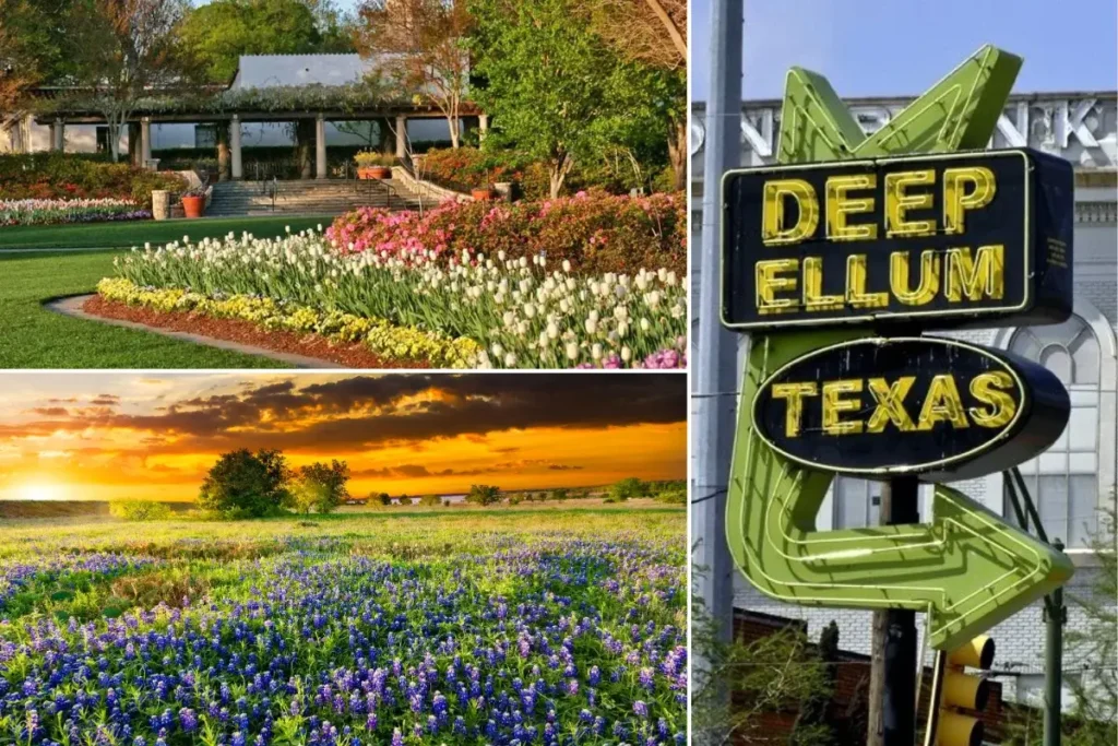 Spring Festivals in Dallas (March – May)