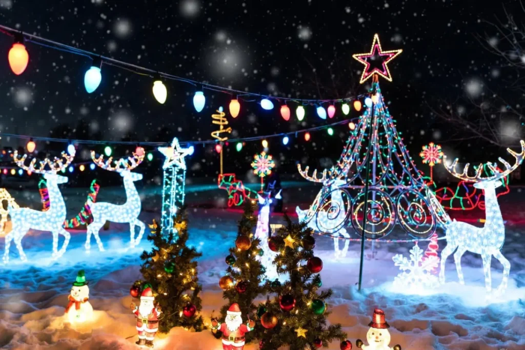 Party Bus Christmas Lights Tour Dallas 2025