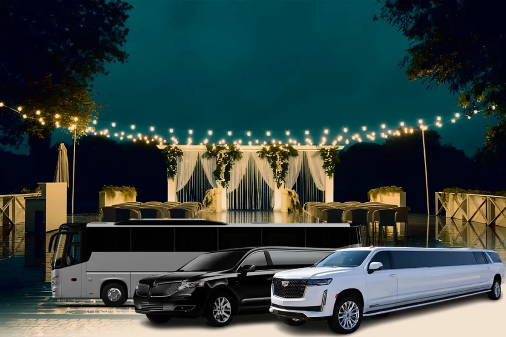 Wedding Transportation Houston_ TX