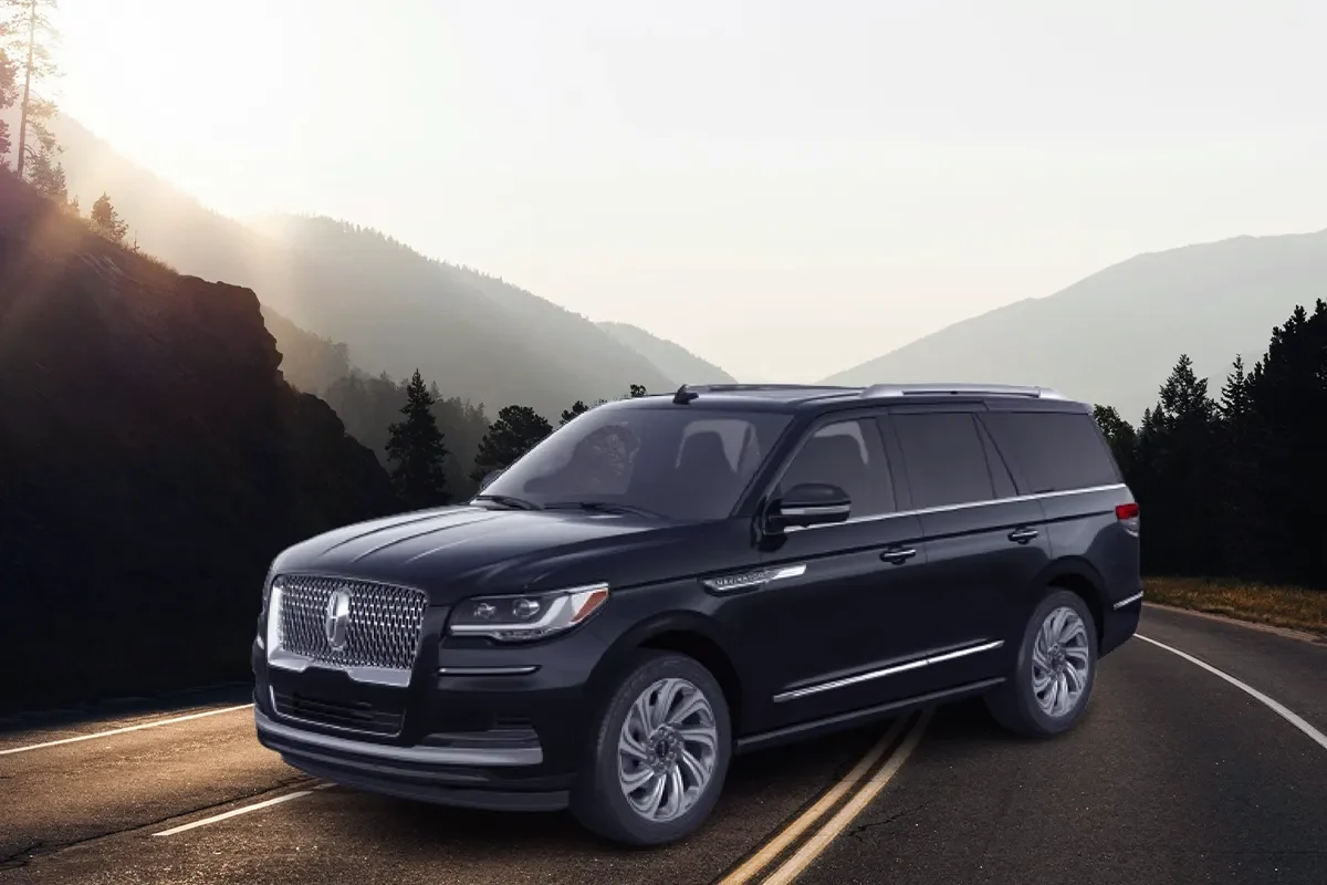 Dallas Holiday Light Tours