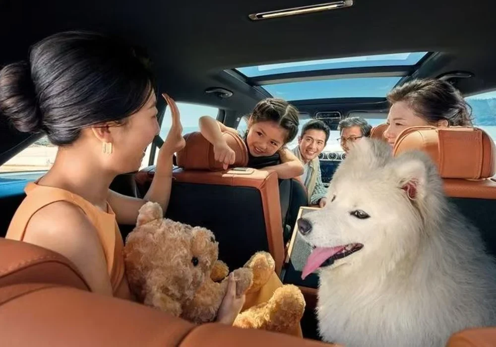 Family-Friendly Town Car Services