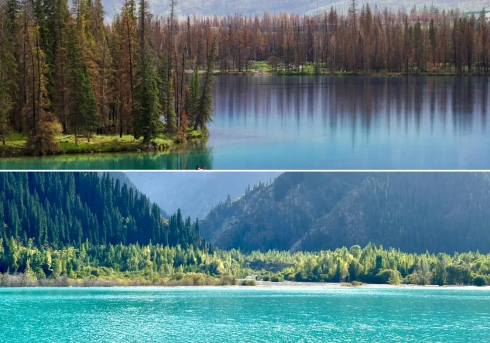 Surrounding Cities and Communities We Serve