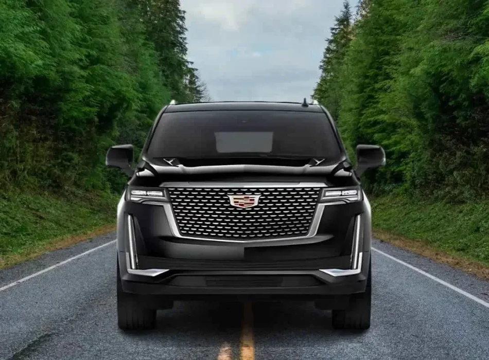 Why Our Town Car Service Stands Out in Dallas